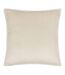 Paoletti - Housse de coussin STANZA (Écru) (55 cm x 55 cm) - UTRV3268