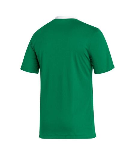 Maillot Entrada Homme Vert Adidas