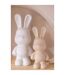 Statuette Lapin en Résine Eddy 49cm Blanc-5