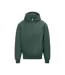 Unisex Adult Signature Heavyweight Hoodie Bottle Green Awdis-1