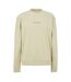 Mens Jacquard Crew Neck Sweatshirt Pistachio Jack Wills-2
