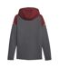 Mens Manchester City Fc Cotton Blend Hooded Jacket Grey Puma-3