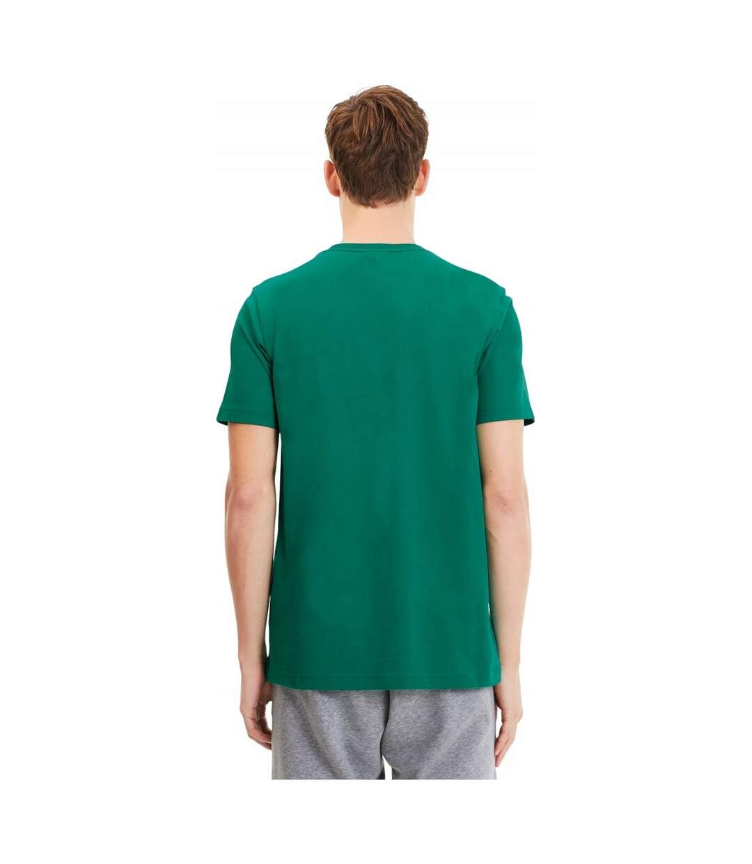 T-shirt Teamgoal Homme Vert Puma-1