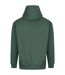 Sweat À Capuche Vision Adulte Vert Kaki Foncé Awdis-3