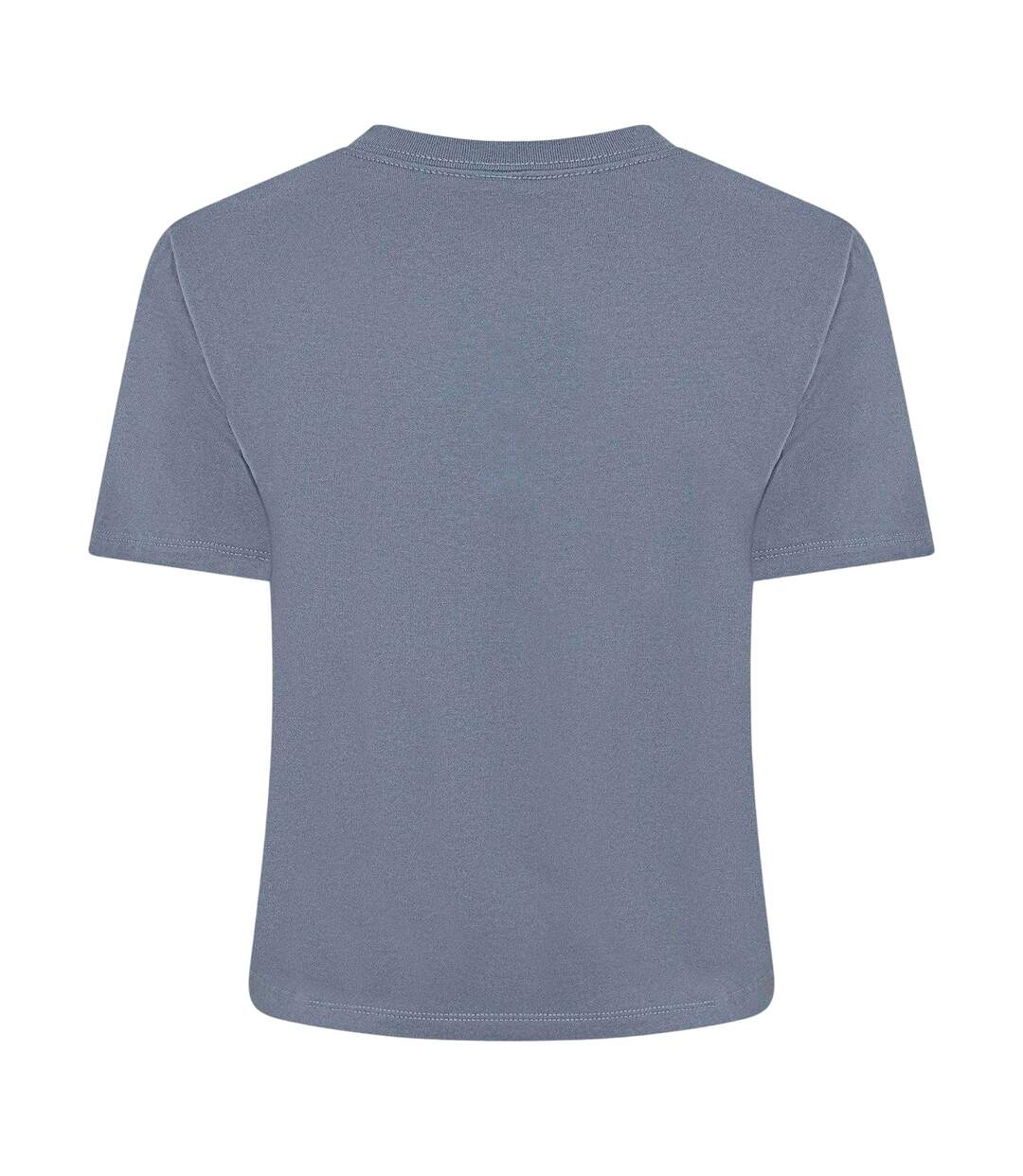 Womens/ladies Evolution Dome T-shirt Granite Grey The North Face-3