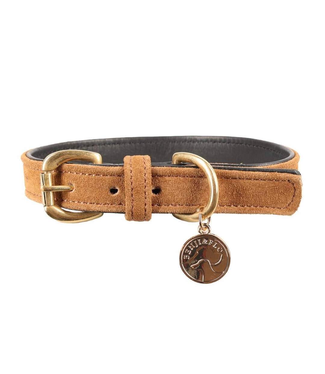 Noble suede dog collar l tan/gold Benji & Flo-1