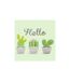 Lot de 20 Serviettes en Papier Hello Cactus 33x33cm Vert