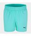Mens Essential Woven Tracksuit Bottoms Turquoise Puma-1