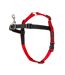 HALTI Dog Harness (Small) (Black/Red) - UTTL1106