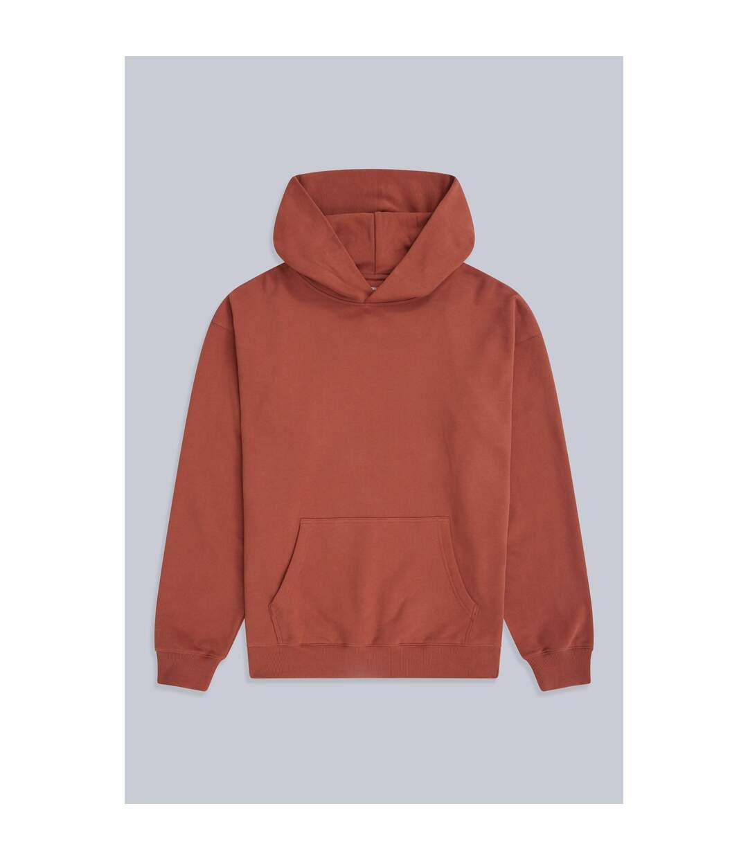 Sweat À Capuche Icon Homme Rouille Animal-1