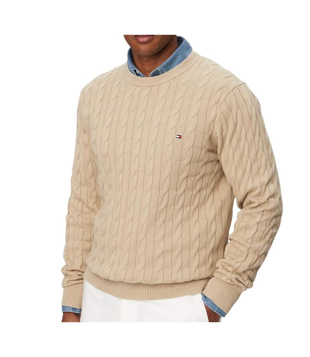 Pull nude homme tommy hilfiger classic-1