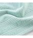 Serviette d'Invité Tendresse 30x50cm Céladon-2