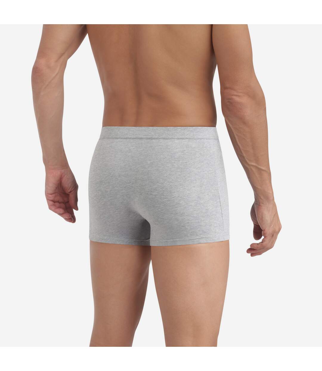 Boxer court Dynamic Cotton-2