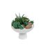 Composition de Plantes Artificielles Soleya 20cm Blanc-1