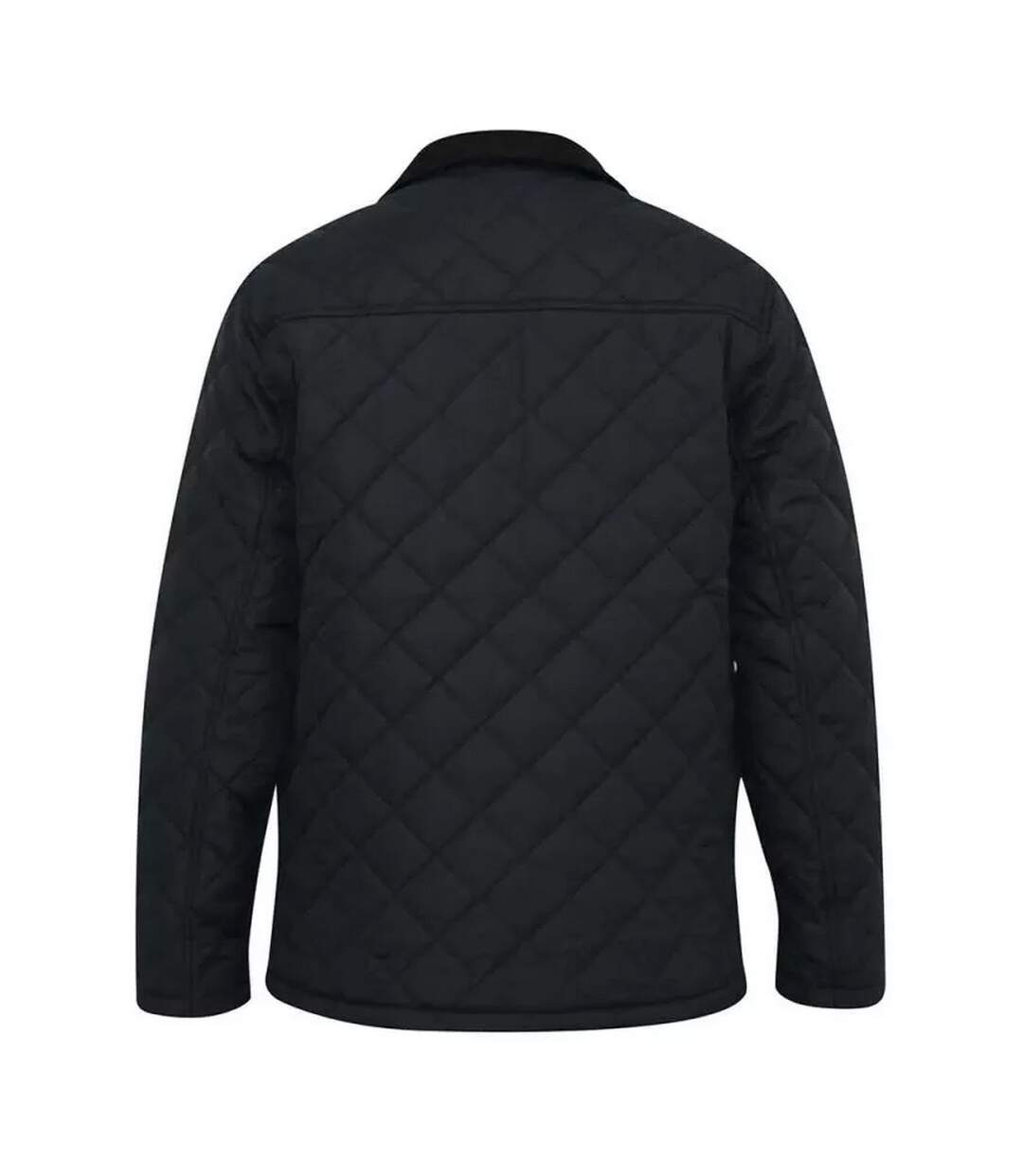 Doudoune matelassée d555 matias homme noir Duke-2