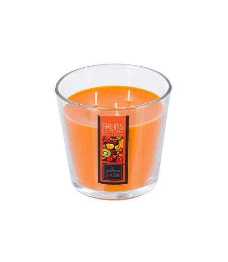 Bougie Parfumée Nina 500g Fruits Exotiques