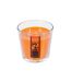 Bougie Parfumée Nina 500g Fruits Exotiques-1