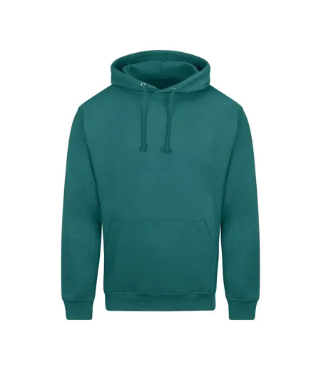Unisex Adult College Hoodie Teal Awdis