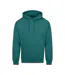 Unisex Adult College Hoodie Teal Awdis-1
