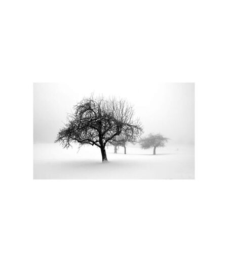 Papier Peint Hiver Arbres II 450x270cm