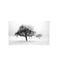 Papier Peint Hiver Arbres II 450x270cm-2