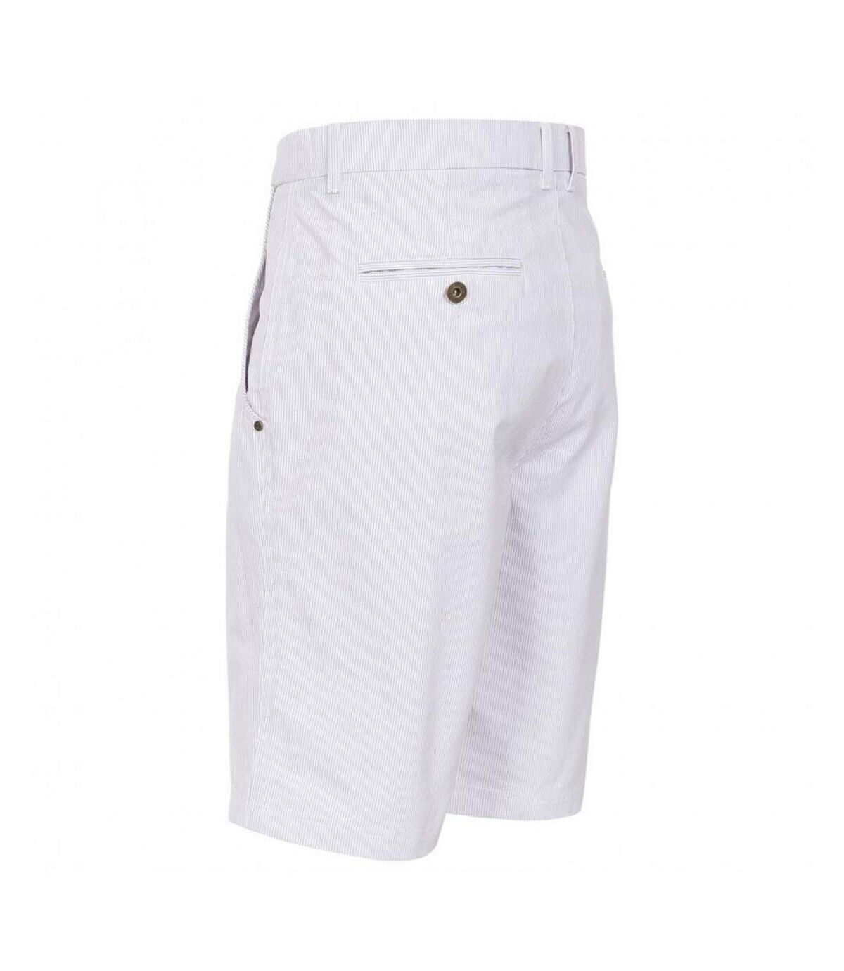 Trespass Mens Atom Casual Shorts (Navy Stripe) - UTTP3386