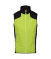 Regatta Mens Halton VI Lightweight Body Warmer (Bright Kiwi/Black)