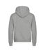 Sweat À Capuche Miami Homme Gris Chiné Clique-2