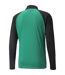Mens Teamliga Tracksuit Top Green Black Puma-2