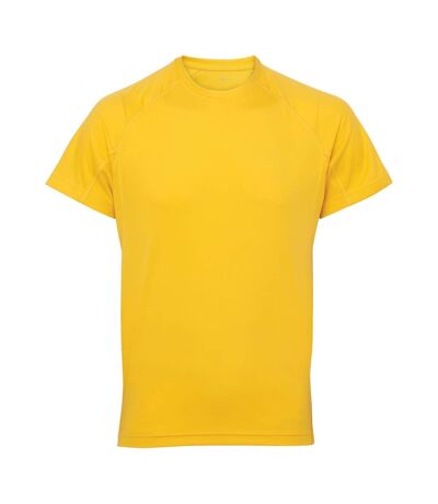 Tri Dri Mens Panelled Short Sleeve T-Shirt (Sun Yellow) - UTRW4799