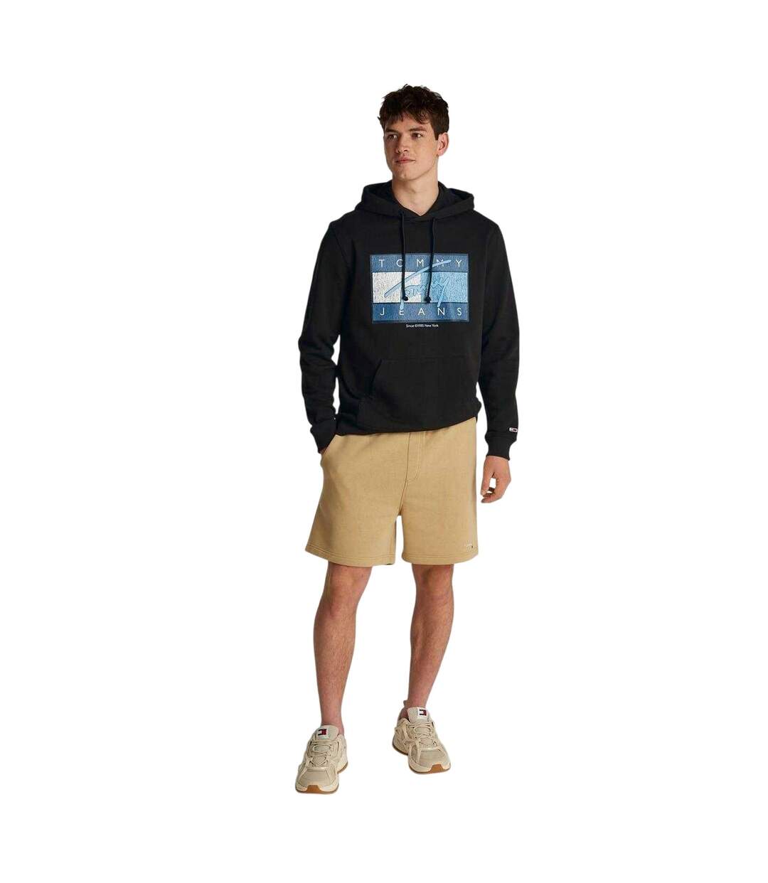 Sweat À Capuche Motif/style Drapeaux Homme Noir Tommy Jeans-4