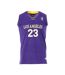 Los Angeles 23 Maillot de basket Violet Homme Sport Zone