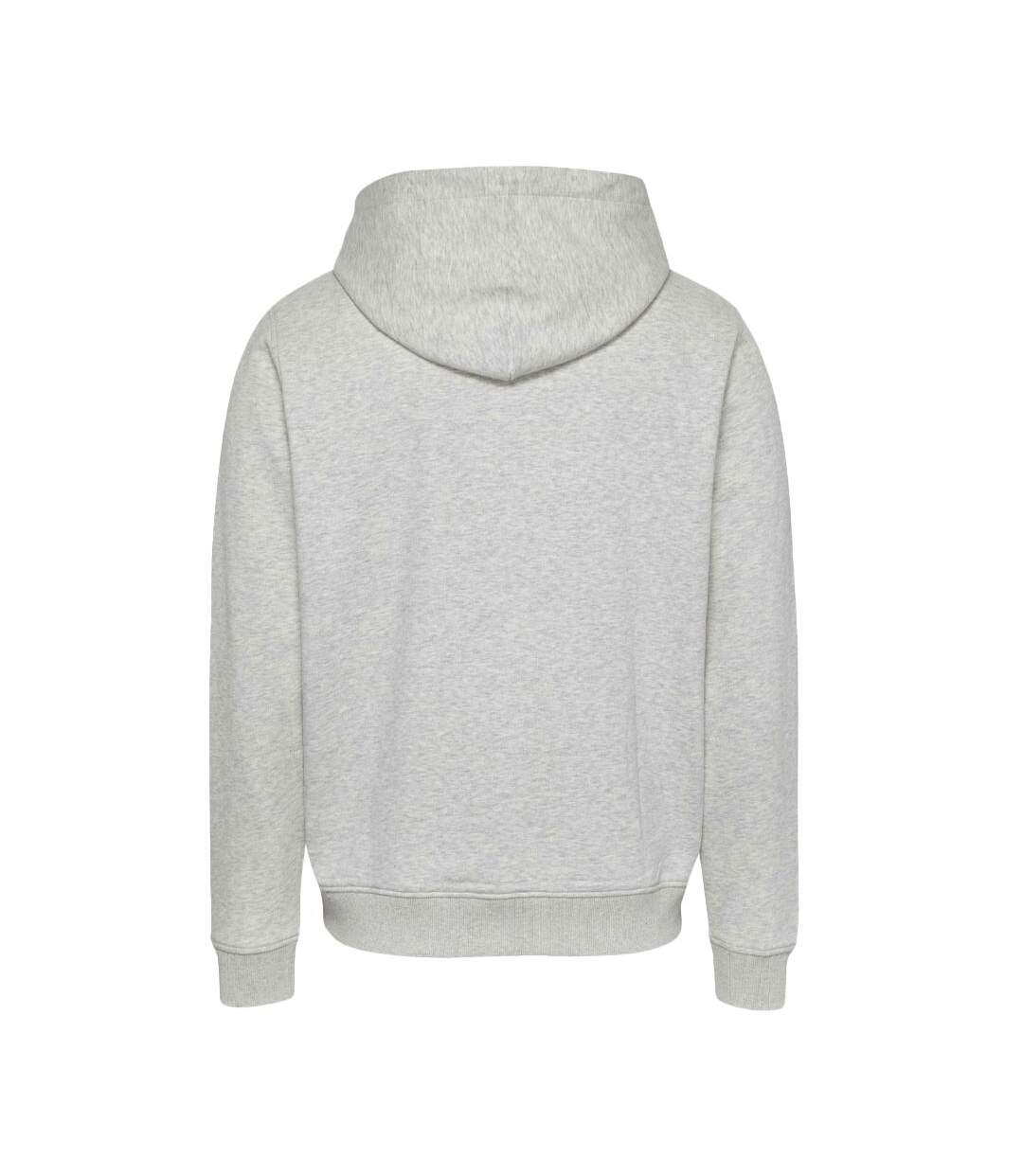 Sweat à Capuche Gris Homme Tommy Hilfiger Linear Gold - L-2