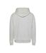 Sweat à Capuche Gris Homme Tommy Hilfiger Linear Gold - L