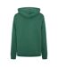 Sweat À Capuche Oakport Homme Vert Foncé Dickies-3