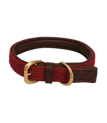 Interlaced leather lined dog collar l burgundy Benji & Flo