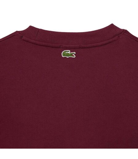 Sweat Homme Bordeaux Lacoste