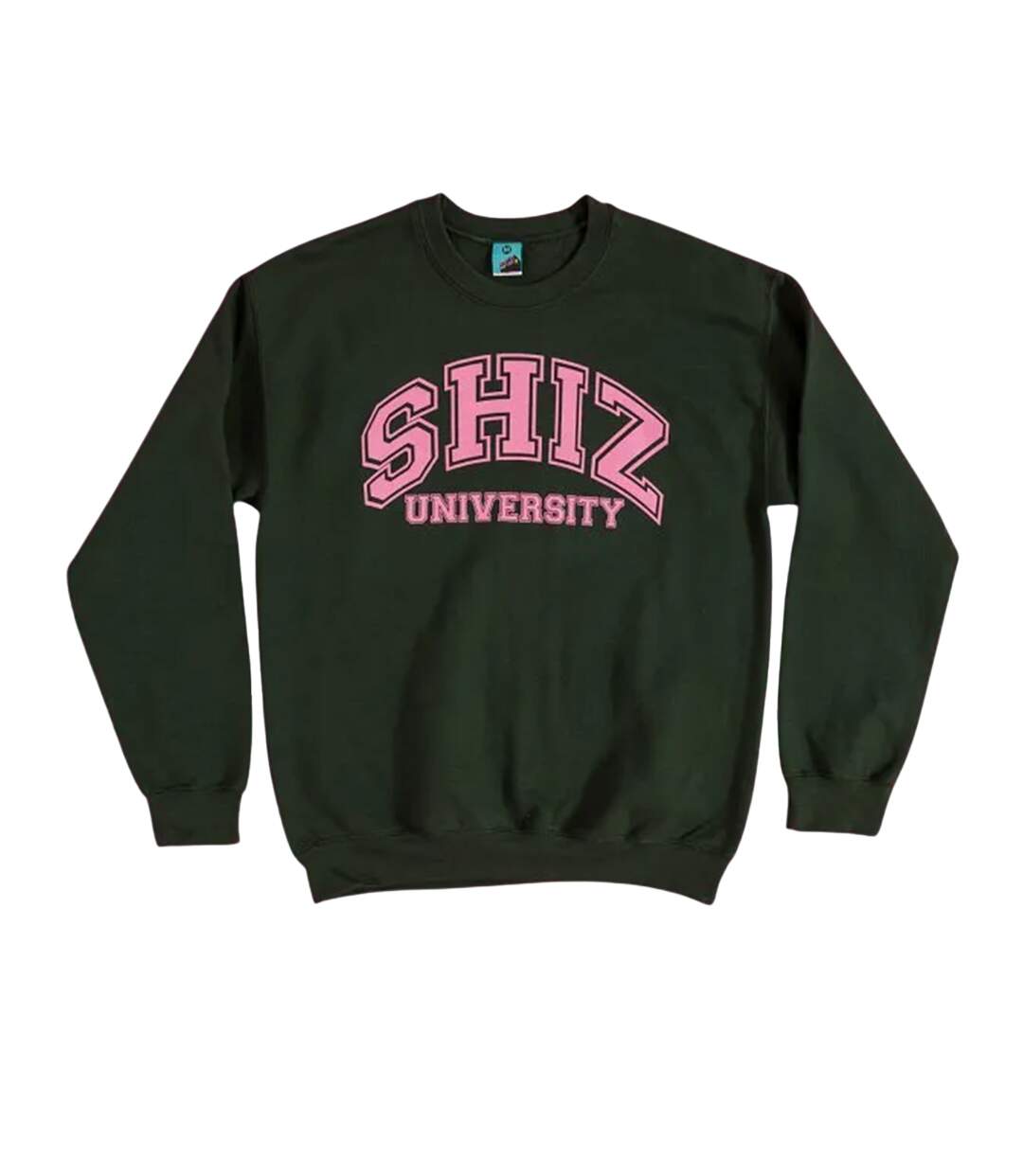 Sweat Shiz University Adulte Vert Wicked-1