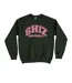 Sweat Shiz University Adulte Vert Wicked-1