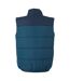 Mens Hawfinch Baffled Gilet Moonlight Denim Navy Regatta-3