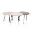 Table gigogne pieds fils (Lot de 3) Beige et blanc-1