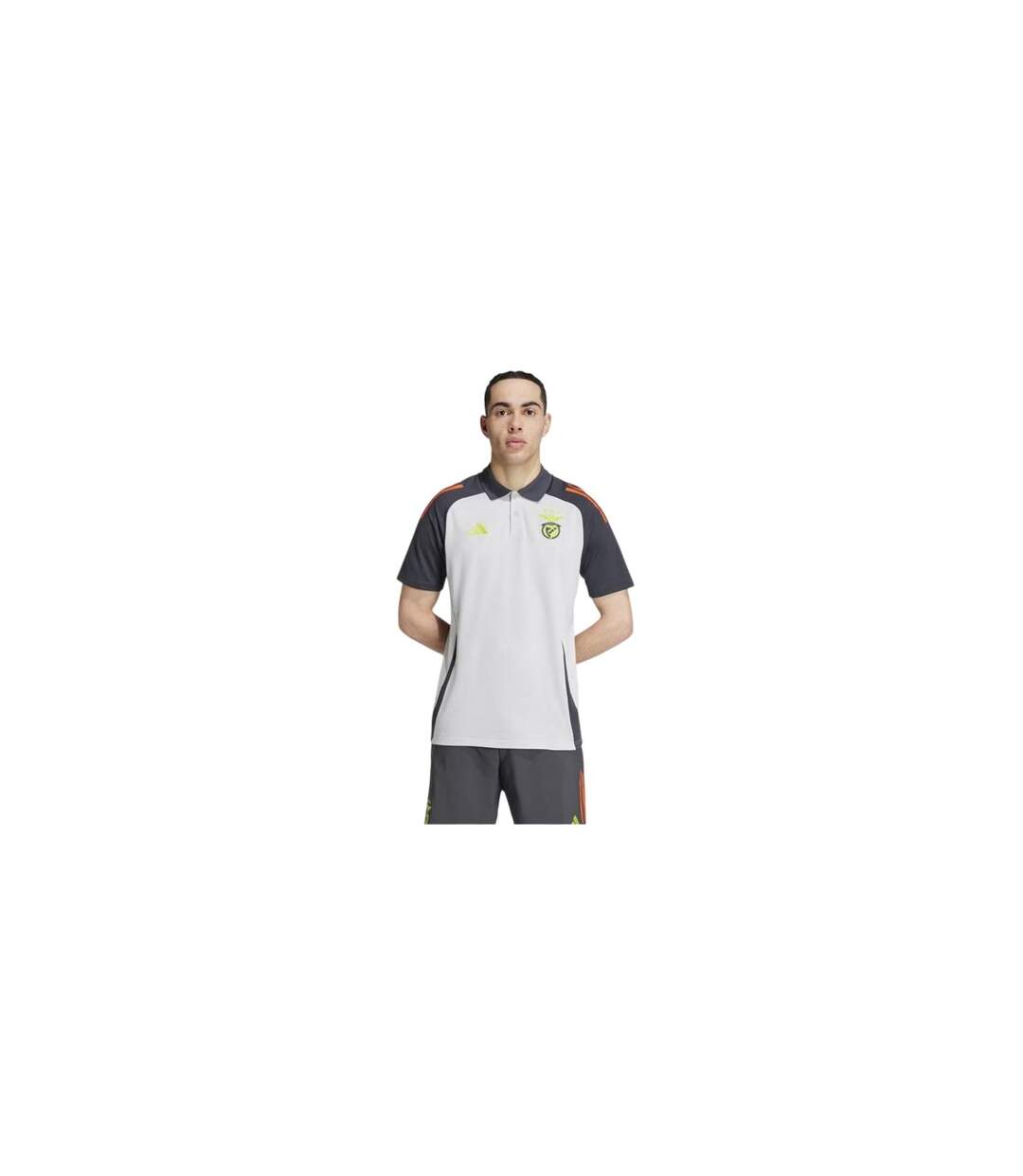 Polo Motif/style Sl Benfica 2024/2025 Homme Gris Uni Rouge Adidas-1