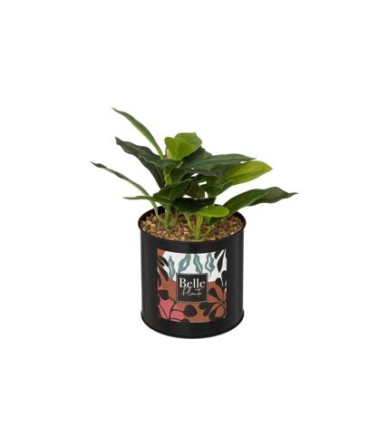 Plante Artificielle en Pot Cosy 20cm Noir & Vert