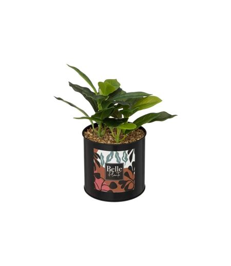 Plante Artificielle en Pot Cosy 20cm Noir & Vert