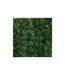 Haie artificielle 140 brins vert thuya en rouleau 1.2 x 3 m (Lot de 12)