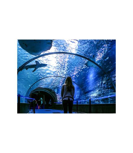 À la découverte des secrets de l’océan : 2 entrées adulte coupe-file à l’aquarium Nausicaá en basse saison - SMARTBOX - Coffret Cadeau Sport & Aventure