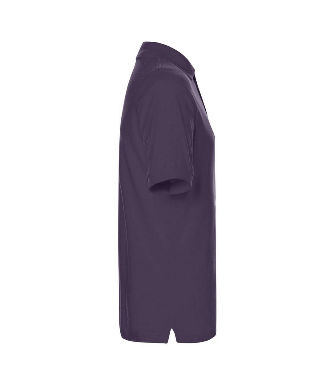 Polo Classic Homme Aubergine James And Nicholson-3