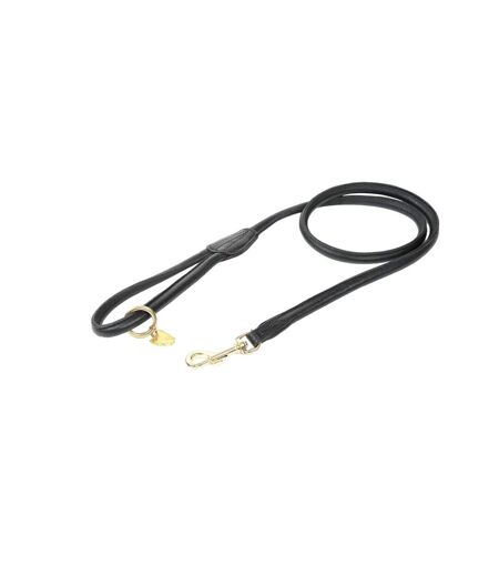 Rolled leather dog lead one size black Digby & Fox