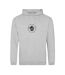 Sweat À Capuche Festival Bass Drum Homme Gris AWD-1