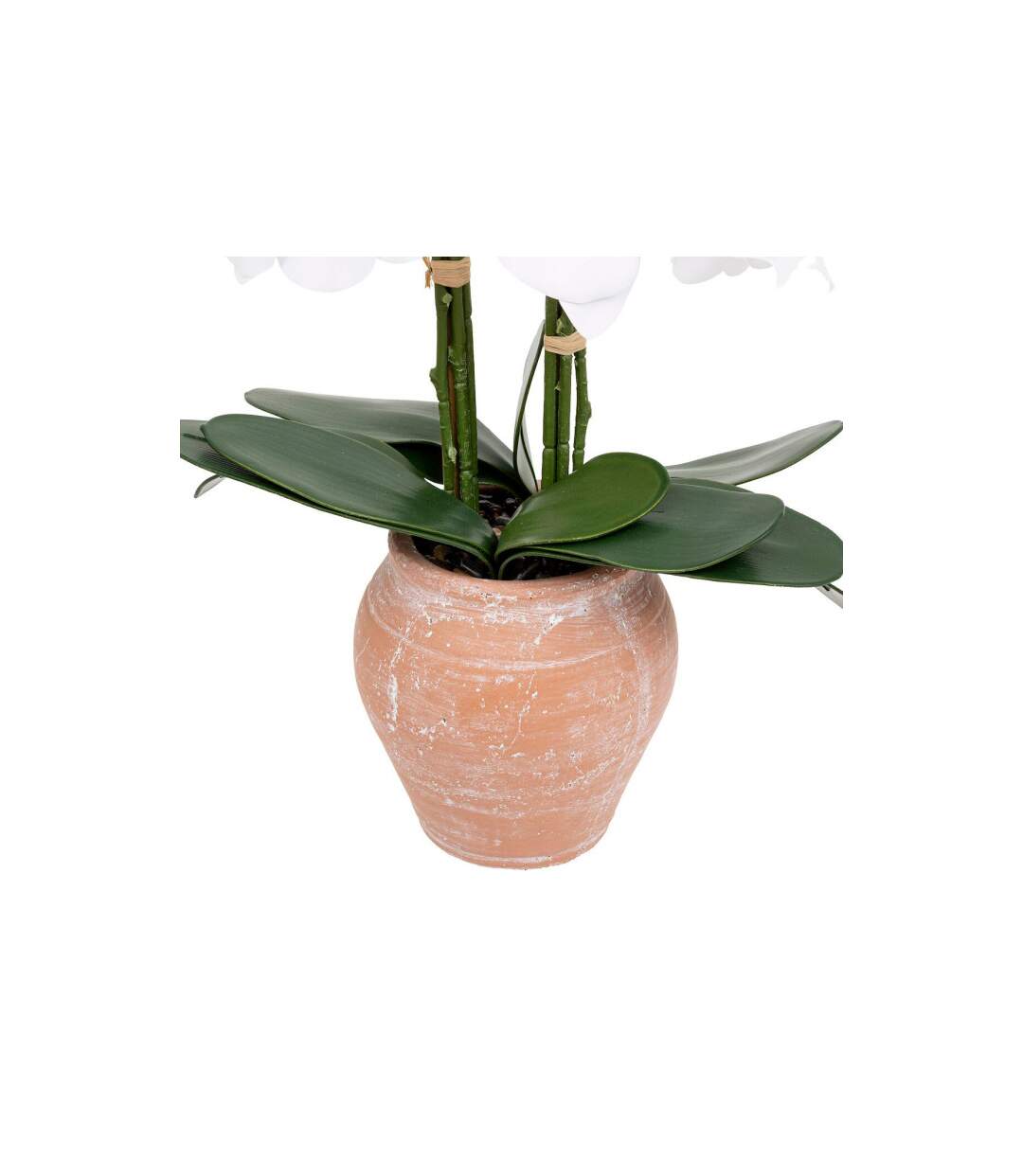 Orchidée Artificielle en Pot Dena 65cm Blanc-3